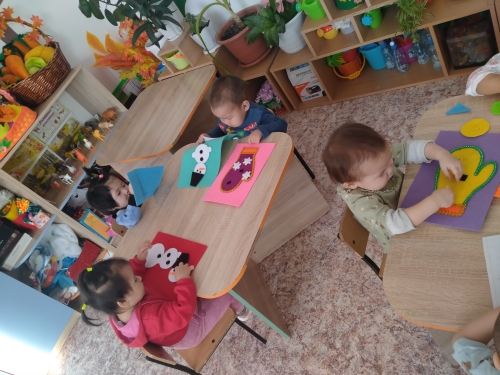 IMG20240215102133